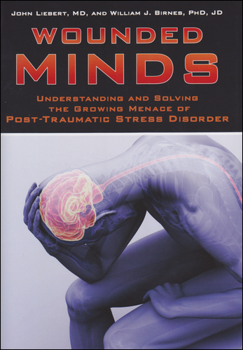Cover of Wounded Minds